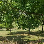 With Pool Monferrato Botto Living Appartamento Odalengo Piccolo