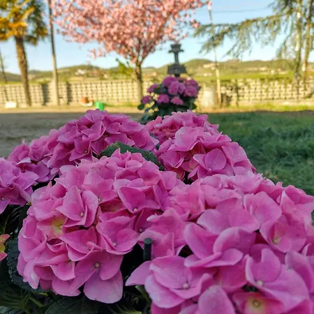 With Pool Monferrato Botto Living Appartement *