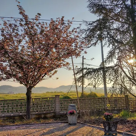 With Pool Monferrato Botto Living *