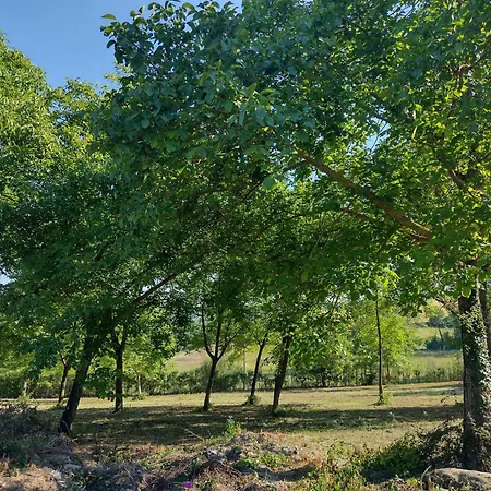 With Pool Monferrato Botto Living *