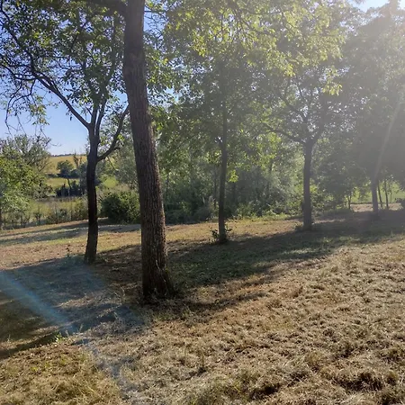 With Pool Monferrato Botto Living Lejlighed *