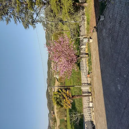 Lejlighed With Pool Monferrato Botto Living *