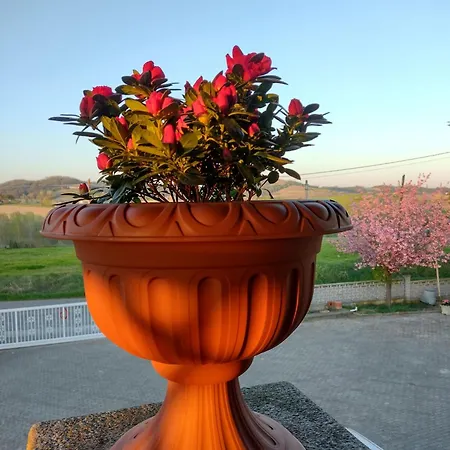 Apartment With Pool Monferrato Botto Living *