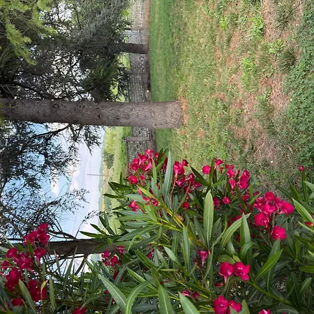 Apartment With Pool Monferrato Botto Living Odalengo Piccolo