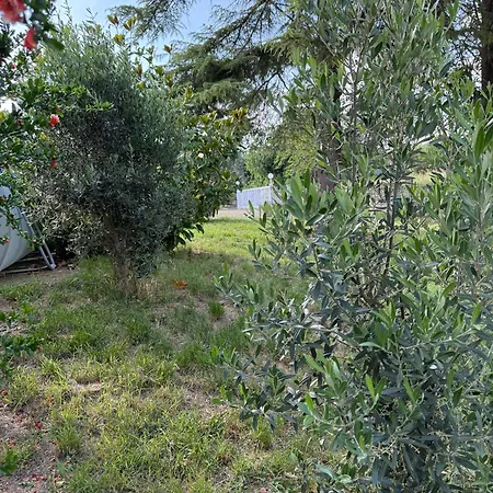 With Pool Monferrato Botto Living Odalengo Piccolo
