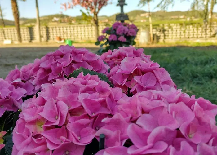 With Pool Monferrato Botto Living Lejlighed *