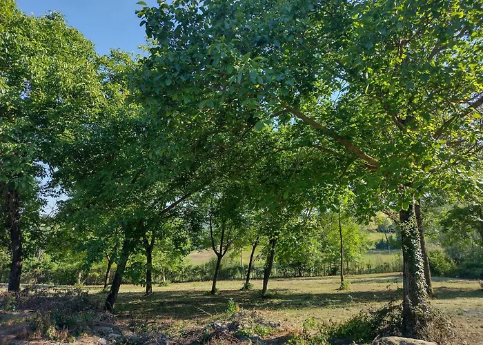 With Pool Monferrato Botto Living *