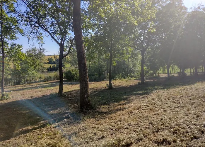 With Pool Monferrato Botto Living Lejlighed *