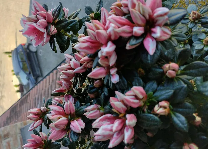 With Pool Monferrato Botto Living Lejlighed Odalengo Piccolo