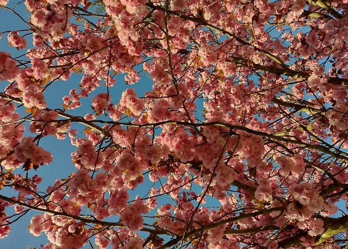 With Pool Monferrato Botto Living